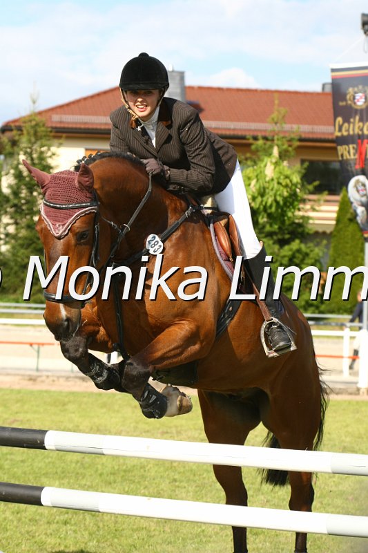 204M1716_Stardust Harry_Stil Axx.JPG